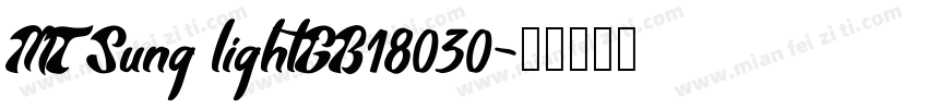 MT Sung lightGB18030字体转换